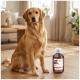 Golden Retriever im Wohnzimmer neben einer Flasche mit der Aufschrift ‚SUPPORT‘ (Nahrungsergänzungsmittel für Tiere); Gesicht des Hundes verschwommen.