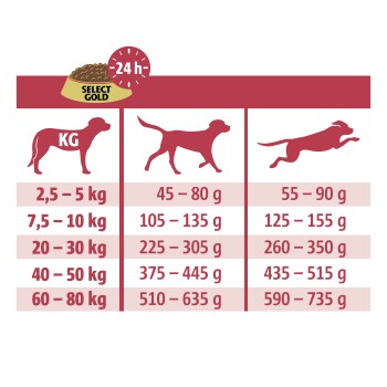 Voedingsgids voor Select Gold hondenvoer, met aanbevolen dagelijkse hoeveelheden op basis van hondengewichtscategorieën (2,5-80 kg).