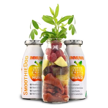 Eine Nahaufnahme einer Hundepfote auf einem Stein, mit einer Flasche "Smoothiedus Immunio" Immunstärkungssnack für Hunde im Fokus, mit buntem Text.