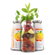 Eine Nahaufnahme einer Hundepfote auf einem Stein, mit einer Flasche "Smoothiedus Immunio" Immunstärkungssnack für Hunde im Fokus, mit buntem Text.