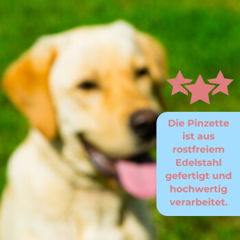 Unscharfer gelber Labrador mit blauem Kasten, auf dem auf Deutsch steht, dass die Pinzette aus Edelstahl ist und gut verarbeitet, dazu drei rosa Sterne.