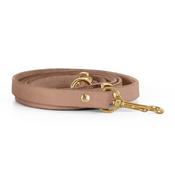 Echtleder Hundeleine Beige M-L