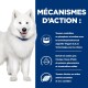 Un Samoyède blanc souriant avec un collier bleu à côté du texte sur les "MÉCANISMES D'ACTION" et des avantages comme les acides gras oméga-3 et la technologie E.A.T.