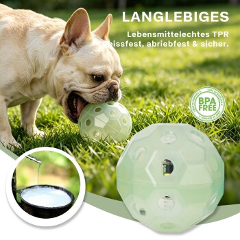 Französische Bulldogge beißt auf einer mintgrünen, perforierten Kau-Kugel im Gras; sichtbarer Text: 'LANGLEBIGES' und 'BPA FREE'.