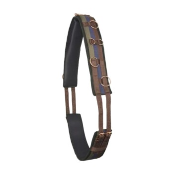 Ein strapazierfähiges, mehrfarbiges Hundegeschirr mit verstellbaren Riemen und Metallringen zur Leinenbefestigung, mit einem gepolsterten Bereich für Komfort.