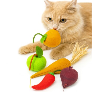 Bunte Filzhaustierspielzeuge in Form von Früchten und Gemüse, darunter eine Orange, ein grüner Apfel, eine Karotte, eine Chilischote und eine Rübe.