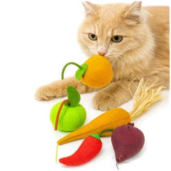 Bunte Filzhaustierspielzeuge in Form von Früchten und Gemüse, darunter eine Orange, ein grüner Apfel, eine Karotte, eine Chilischote und eine Rübe.
