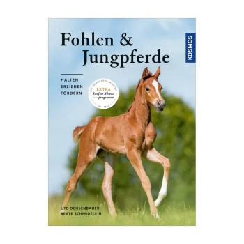 Cover eines Buches mit dem Titel "Fohlen & Jungpferde", das ein galoppierendes Fohlen auf einer grasbewachsenen Fläche zeigt, mit den Autoren Ute Ochsenbauer und Beate Schmidtlein.