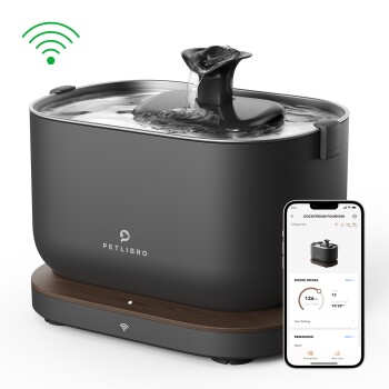 WIFI Trinkbrunnen schwarz