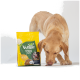 Hellbrauner Hund schnüffelt neben einer gelben VUTTER!-Hundefuttertüte mit der Aufschrift 'Pflanzlich Vollwertig Lecker' und 'wie Huhn'.