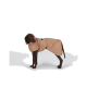 Schokoladenbrauner Labrador trägt sandfarbenen, wasserdichten Hundemantel mit Kapuze und seitlicher Schnalle, steht vor weißem Hintergrund.