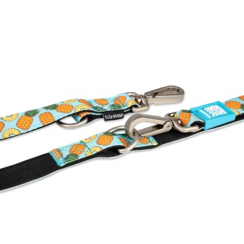 Blaue Hundeleine mit Ananas-Muster, Metallverschlüssen und Anhängern mit der Aufschrift „URBAN PETS“ und „LEASH“.