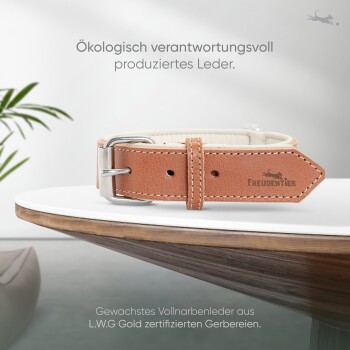 Ein brauner Lederhundehalsband mit einer silbernen Schnalle auf einer weißen Oberfläche, mit Text zur umweltfreundlichen Produktion.