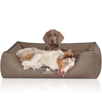 Orthopädisches Hundebett Columbia aus laser-gestepptem Kunstleder stone clay XL Ein gemütliches Hundebett in neutralem Braun mit einem Logo, das 'KNUFFELWUFFF' liest. Zwei Hunde liegen bequem, einer mit einem verspielten Ausdruck.