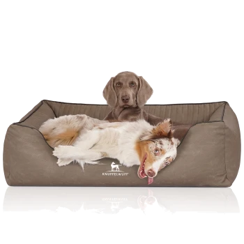 Ein gemütliches Hundebett in neutralem Braun mit einem Logo, das 'KNUFFELWUFFF' liest. Zwei Hunde liegen bequem, einer mit einem verspielten Ausdruck.