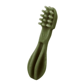Green rubber dog toothbrush chew toy with molded bristles and embossed "W" on the handle