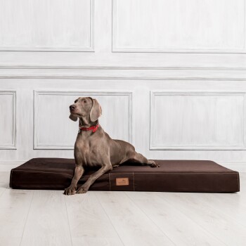 Ein grauer Weimaraner-Hund mit rotem Halsband liegt auf einem braunen Hundebett, vor einer hellen Wand mit dekorativen Verkleidungen.