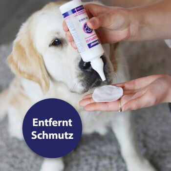 Golden Retriever, dem ein Reiniger auf ein Wattepad nahe der Nase gedrückt wird; lila Badge lautet "Entfernt Schmutz".