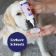Golden Retriever, dem ein Reiniger auf ein Wattepad nahe der Nase gedrückt wird; lila Badge lautet "Entfernt Schmutz".