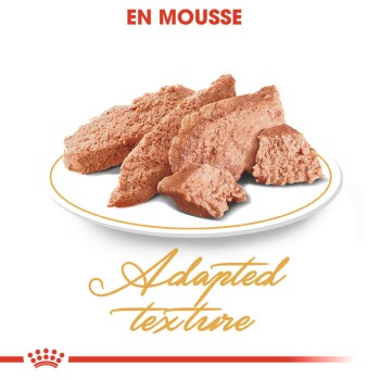 Nourriture pour chat en texture mousse présentée sur une assiette blanche, avec le texte "EN MOUSSE" et "Texture adaptée" dans des polices élégantes.