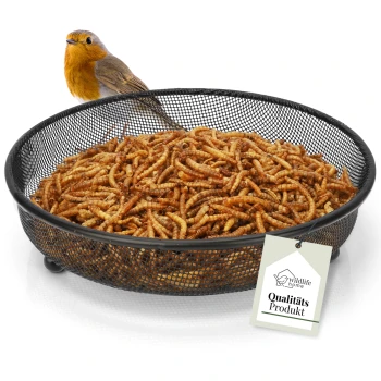 Ein kleiner Vogel mit orangefarbenem Brust steht neben einer schwarzen Netzschüssel, die mit getrockneten Mehlwürmern gefüllt ist, beschriftet mit "Qualitäts Produkt."