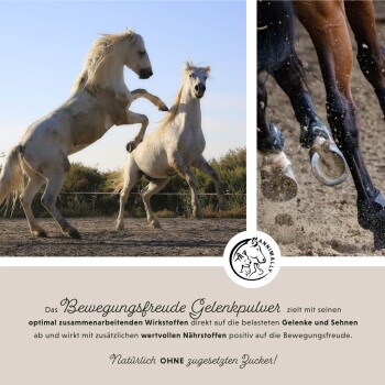 Zwei weiße Pferde stehen gegen einen blauen Himmel, bewerben "Bewegungsfreude Gelenkpulver" mit "Natürlich OHNE zugesetzten Zucker!"