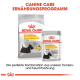Royal Canin Dermacomfort Hundefutterverpackung, die einen Trockenfutterbeutel mit der Aufschrift "MINI" und einen Nassfutterbeutel zeigt, mit Text, der eine ausgewogene Ernährung fördert.