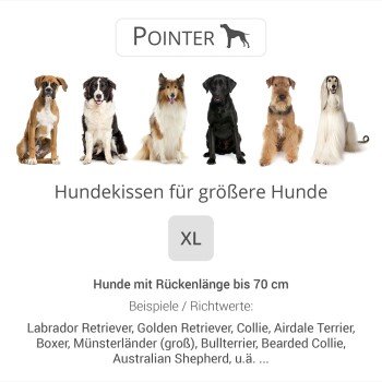 Bild von verschiedenen Hunderassen, einschließlich Labradoren und Golden Retrievern, auf einem "XL" Hundebett für Hunde bis zu 70 cm lang.