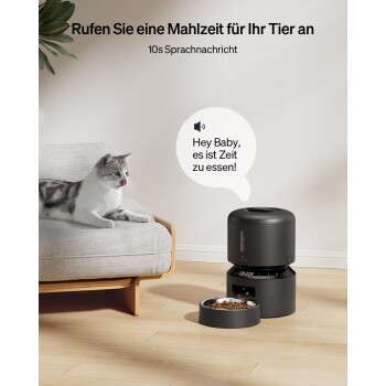 Eine grau-weiße Katze sitzt auf einem grauen Haustierbett neben einem schwarzen Futterspender, der die Uhrzeit und das Futter zeigt, mit Text über die Fütterungszeit.