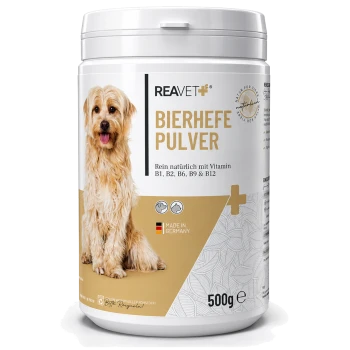 Behälter mit REAVET Bierhefe-Pulver für Hunde, mit einem Golden Retriever auf dem Etikett, das die Vitamine B1, B2, B6, B9 und B12 hervorhebt.