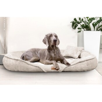 ® XENIA - Orthopädisches Hundebett / Hundesofa creme 1,45 m, 20 cm, 1,05 m