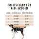 Ein Hund mit einem Geschirr, daneben eine Größentabelle, die Maße für die Größen S, M, L und XL auf Deutsch zeigt.