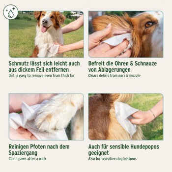 Bild eines Hundes, der mit Tüchern in vier Abschnitten gereinigt wird: Fell, Ohren, Pfoten und empfindliche Bereiche, mit deutschem Text, der jede Anwendung erklärt.