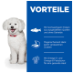 Ein flauschiger weißer Hund steht neben einem blauen Panel mit der Aufschrift "VORTEILE," das Vorteile wie hochwertiges Protein und Omega-Fettsäuren auflistet.