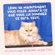 Chat crème-orangé duveteux sur fond bleu avec la légende en français « Léon va maintenant vous fixer... » et une flèche rose vers sa poitrine.