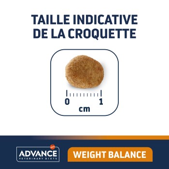 Image d'une croquette pour animaux de compagnie avec une règle indiquant sa taille, étiquetée "TAILLE INDICATIVE DE LA CROQUETTE" et "WEIGHT BALANCE" en bas.