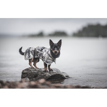 Ein kleiner Hund steht auf einem Felsen am Wasser, trägt einen stylischen camouflagen Regenmantel, mit einem verschwommenen Gesicht und einem grauen, bewölkten Hintergrund.