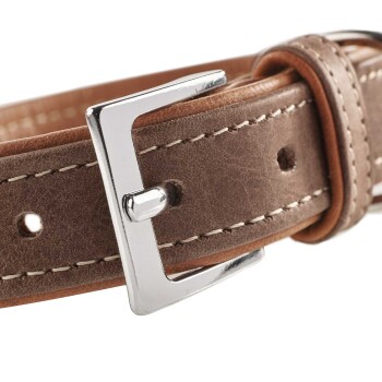 Nahaufnahme eines braunen Leder-Haustierhalsbands mit einer silbernen Metallschnalle und Nähdetails.