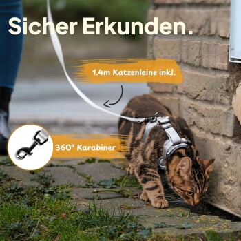 Eine Bengal-Katze erkundet im Freien an einer 1,4 m langen Leine, mit Text, der "Sicher Erkunden," "360° Karabiner" und Leineninformationen hervorhebt.