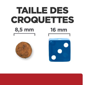 Comparaison de la taille des croquettes : 8,5 mm montrée par une croquette et 16 mm montrée par un dé bleu avec trois points.