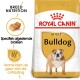 Royal Canin Bulldog Adult hondenvoer zak met een afbeelding van een bulldog, met tekst die de ras-specifieke voeding en verminderde ontlasting geur benadrukt.
