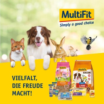 Adult Ragout Kaninchen und Karotten 6x800 g