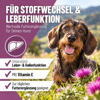 Ein klares Glas, gefüllt mit einer hellgelben Flüssigkeit, die wie Öl aussieht, vor einem weißen Hintergrund.