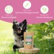 Ein glücklicher schwarz-grauer Hund sitzt im Gras mit "Venus Balance Powder" in der Nähe, das Vorteile für hormonelles Gleichgewicht und Scheinträchtigkeit hervorhebt.