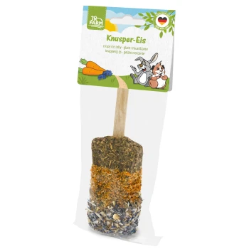JR Farm Knusper-Eis chrupiący lizak dla małych zwierząt na drewnianym patyczku; opakowanie pokazuje marchewki oraz rysunkowego królika i chomika