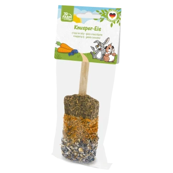 JR Farm Knusper-Eis, knuspriges Eis am Stiel für Kleintiere auf Holzstiel; Verpackung zeigt Karotten sowie einen Cartoon-Hasen und Hamster