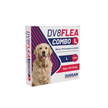 Box of DV8FLEA COMBO L spot-on flea treatment for dogs (>20–40 kg), 2.68 ml, Duggan Veterinary, with golden retriever photo.