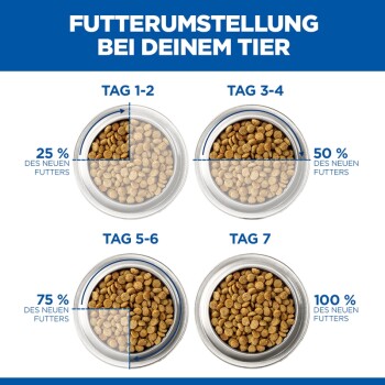 Grafik ‚Futterumstellung bei deinem Tier‘ mit vier Schüsseln: Tag 1–2 25%, Tag 3–4 50%, Tag 5–6 75%, Tag 7 100% neues Futter.