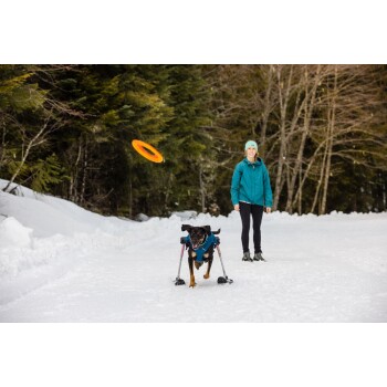 Ein Hund, der eine blaue Jacke und Mobilitätshilfen trägt, läuft durch den Schnee und jagt einem orangefarbenen Frisbee hinterher, während eine Person in einer türkisfarbenen Jacke zuschaut.