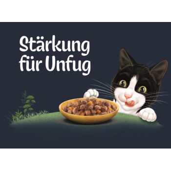 Eine verspielte schwarz-weiße Katze leckt sich die Lippen neben einer Schüssel mit Katzenfutter, mit dem Text "Stärkung für Unfug" darüber.